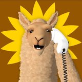 llama