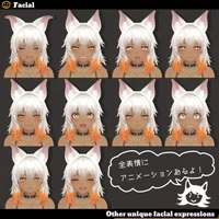 3D-модель Sharlen для VRChat