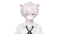 Live2D-модель White-haired Jirai Cat Boy
