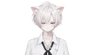 Live2D-модель White-haired Jirai Cat Boy